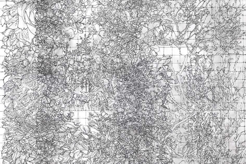 Annika Eschmann, Detail_Iron Curtains, Economy of Attention and Metamorphosis, 222 x 365 cm, PLA, 
drawing, 2021_ ©_Annika Eschmann